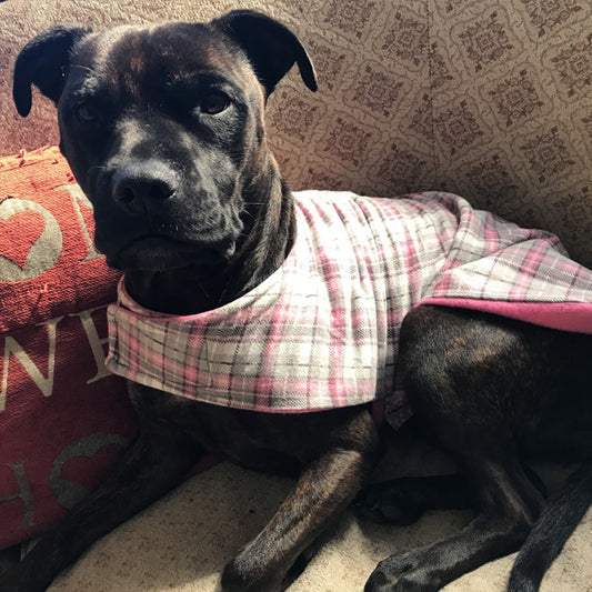 Daywear Pink and Grey Tartan Dog Coat