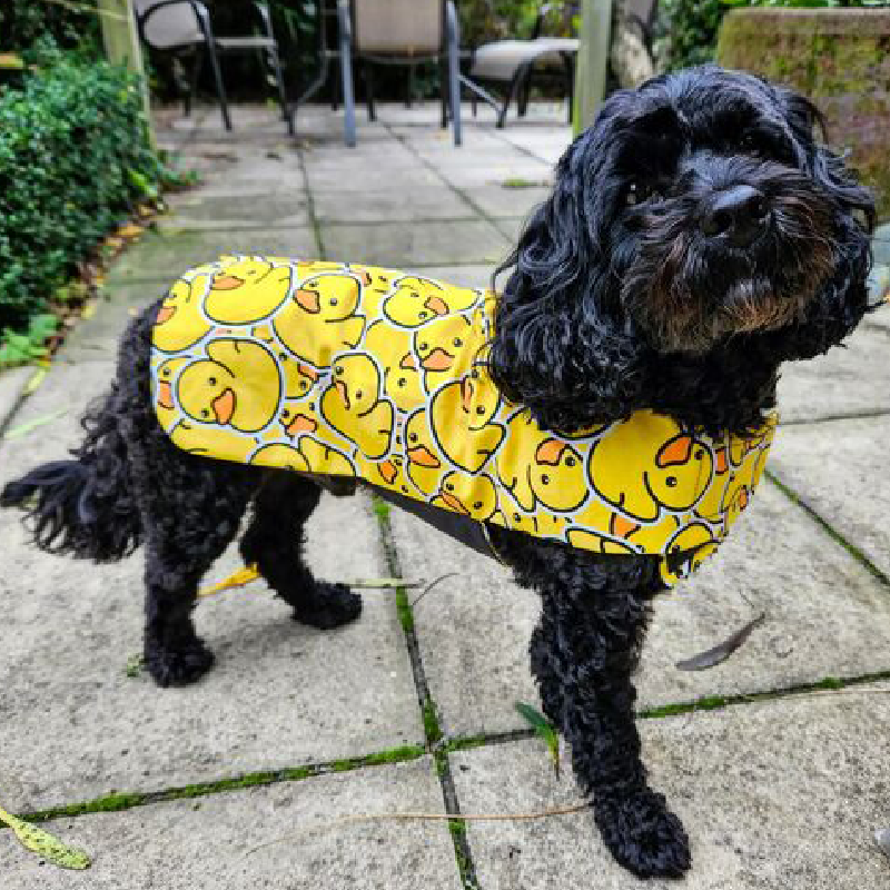 Rainwear Yellow Duck Dog Rain Coat