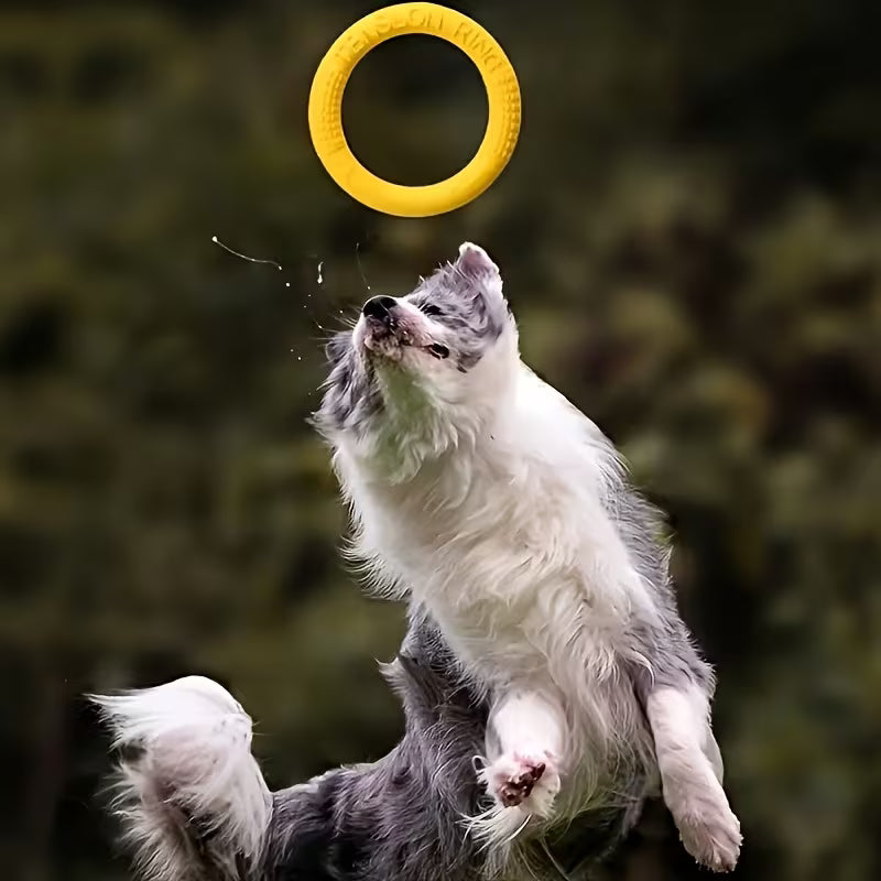 Fetch Ring Yellow - 18cm