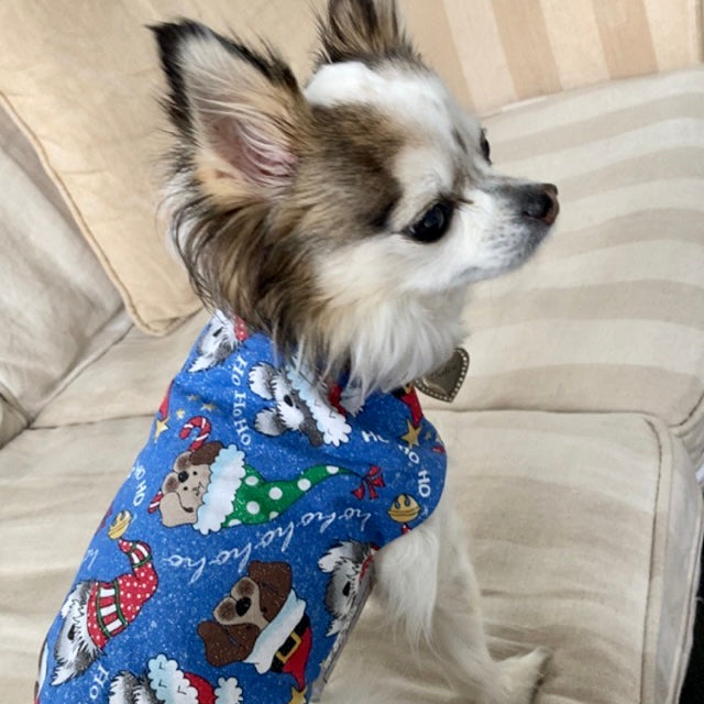 Christmas Blue Glitter Dog Coat