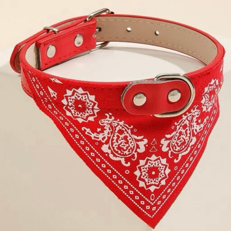 Red Paisley Print Pet Bandana Collar