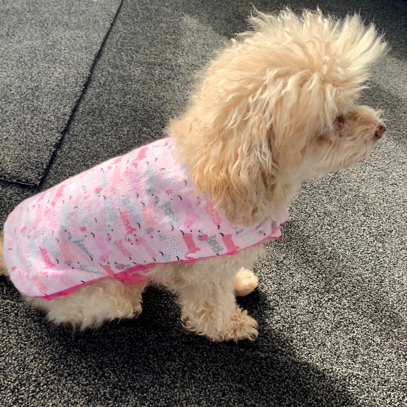 Nightwear Pink Puppies Dog Coats