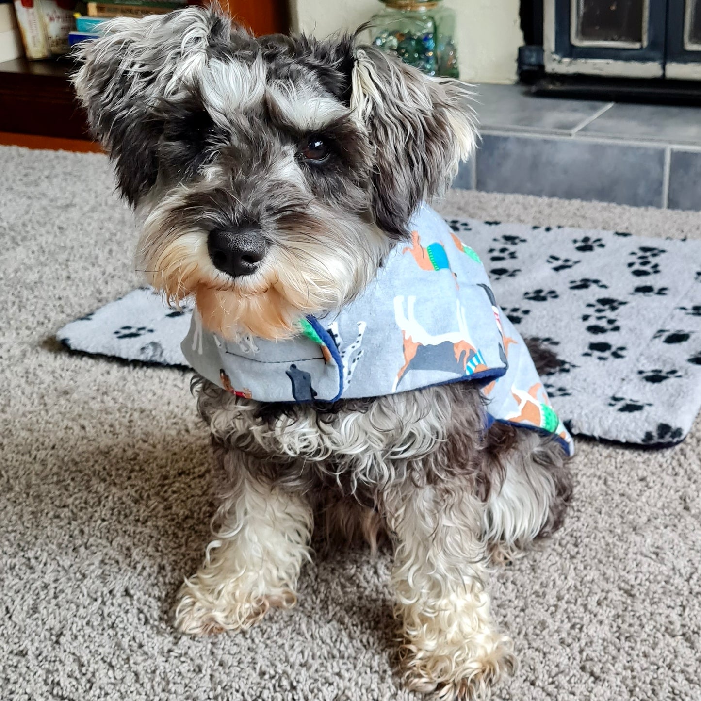 Snoodle Daywear Blue Mixed Dogs