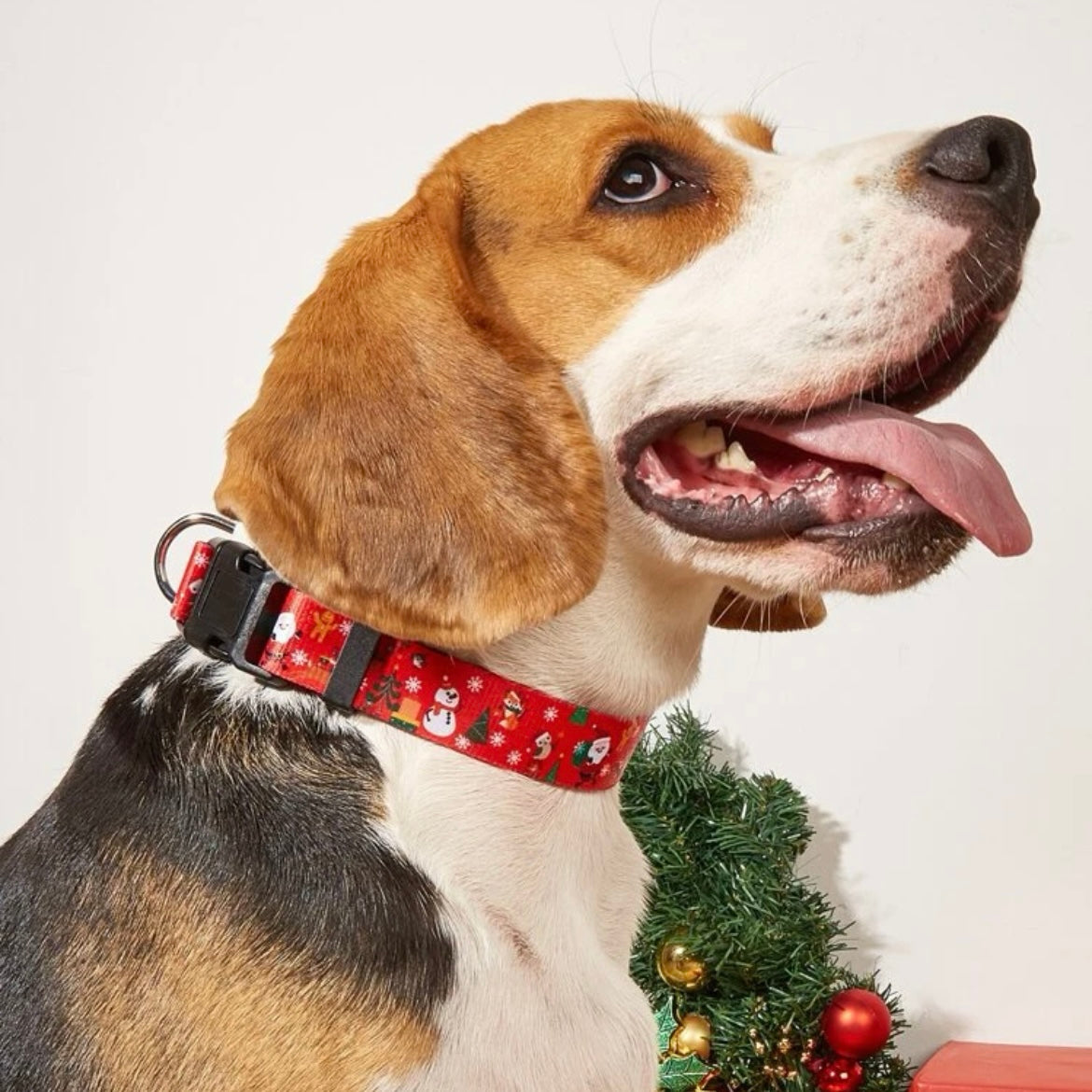 Christmas Red Dog Collar