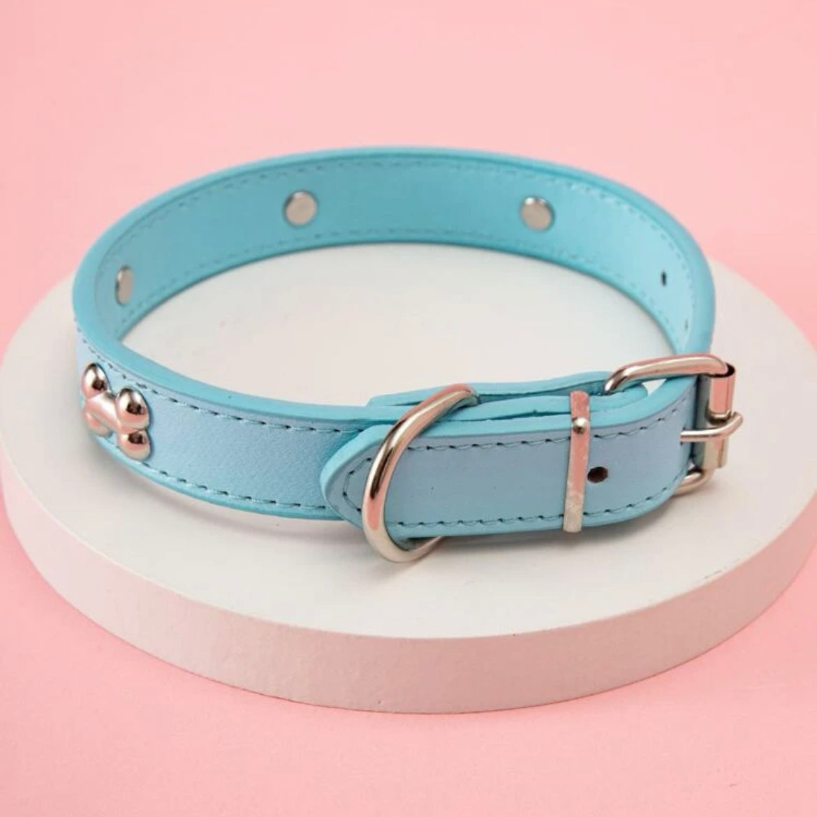 Blue Bone Decor Dog Collar