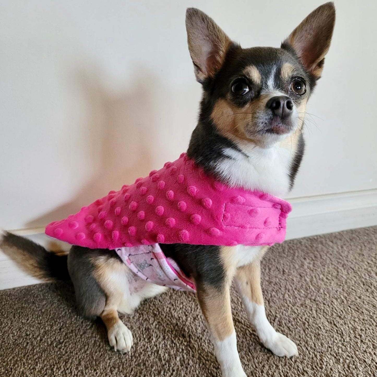 Nightwear Pink Puppies Dog Coats