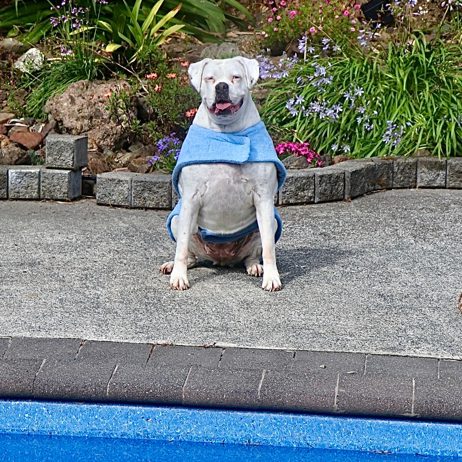 Towelwear Blue Grey Dog Coat