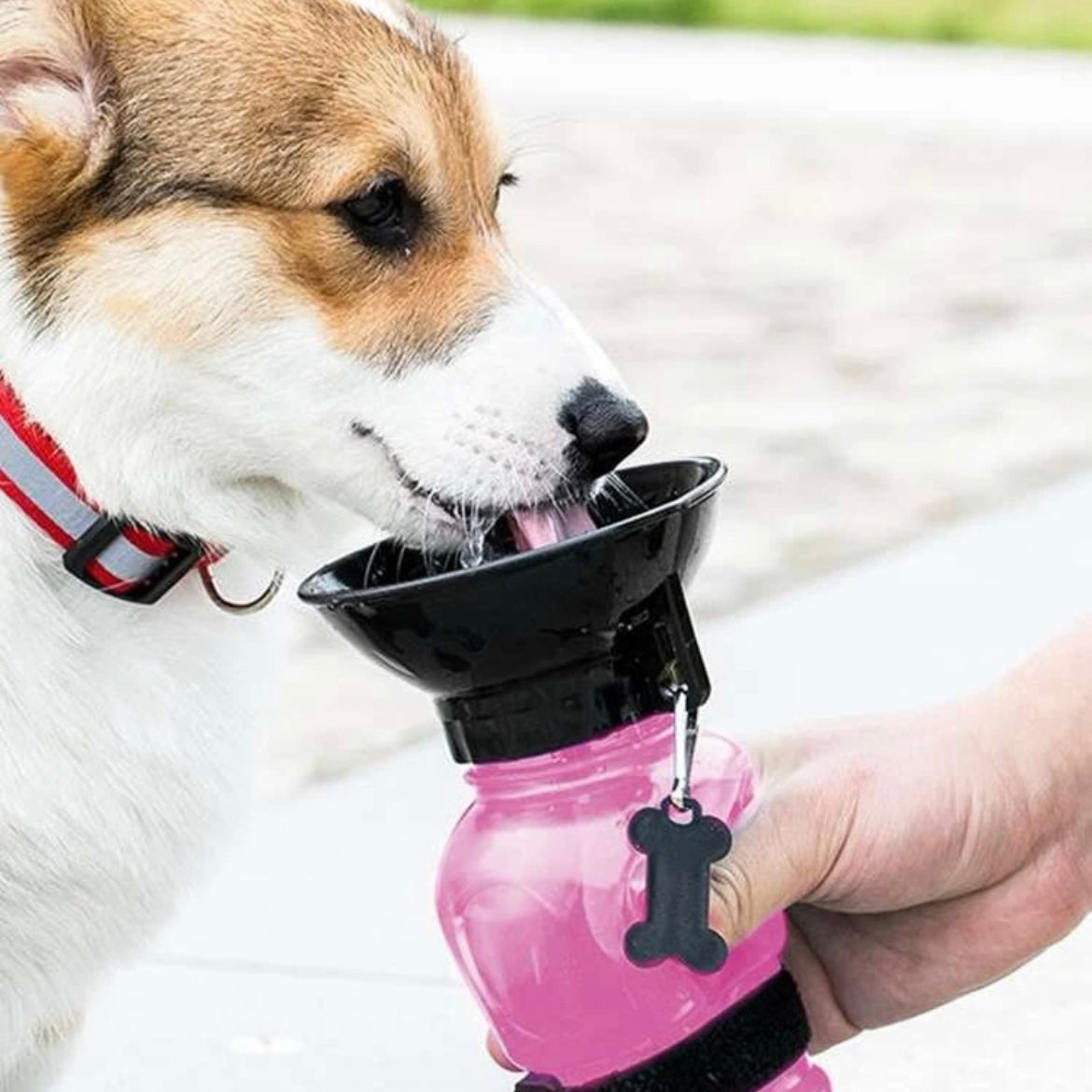 Pet Travel Squeezing Bottle Pink – Snoodle