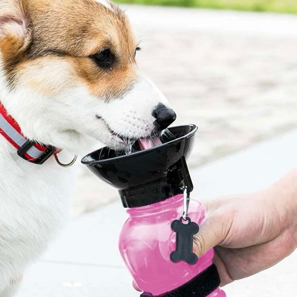 Pet Travel Squeezing Bottle Pink