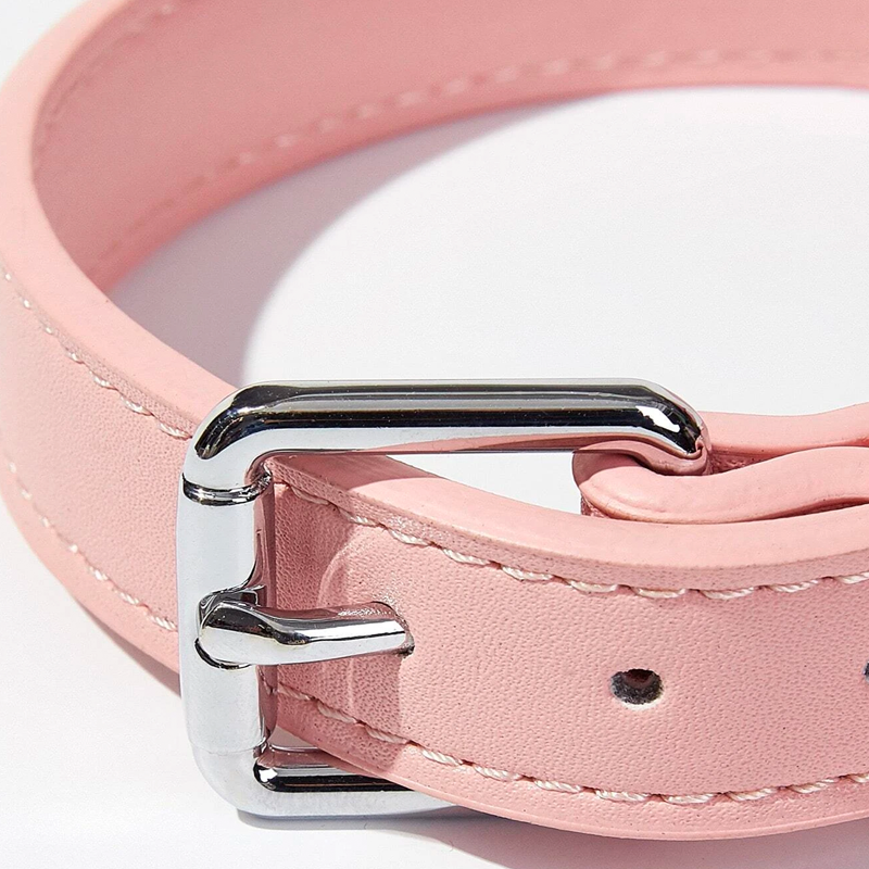 Baby Pink Dog Collar