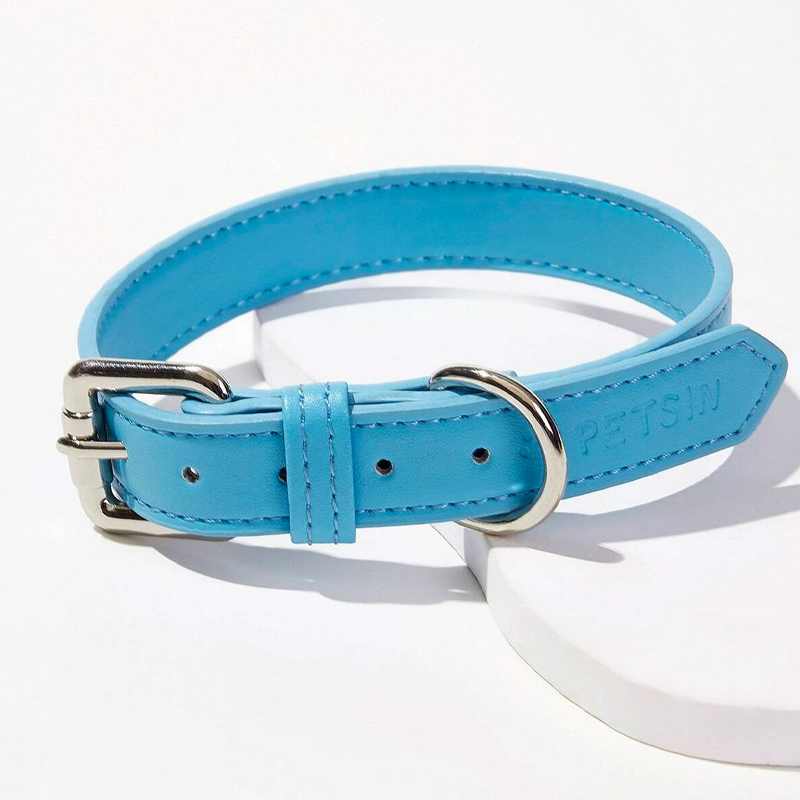 Blue collar shop dog