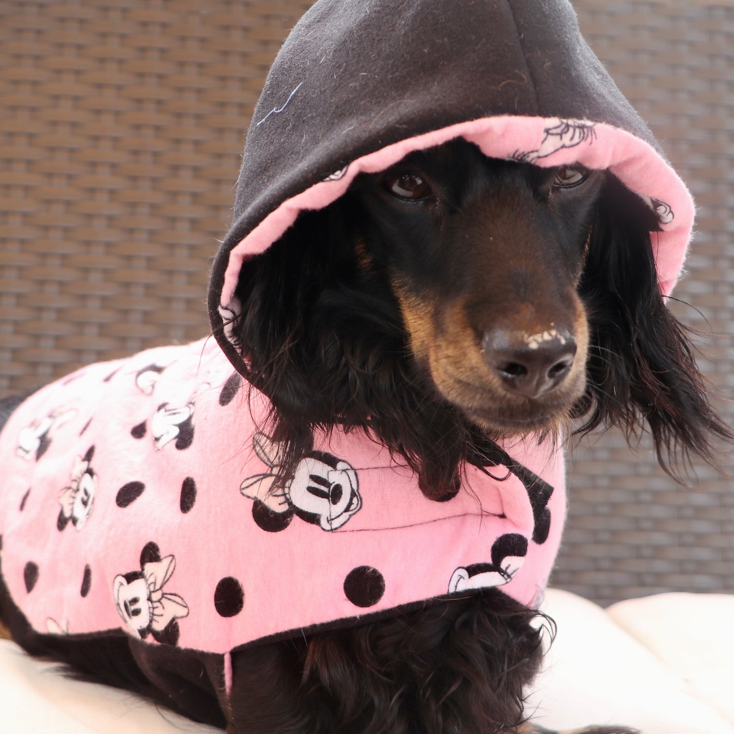 ActiveWear Minnie Mouse Dog Coat