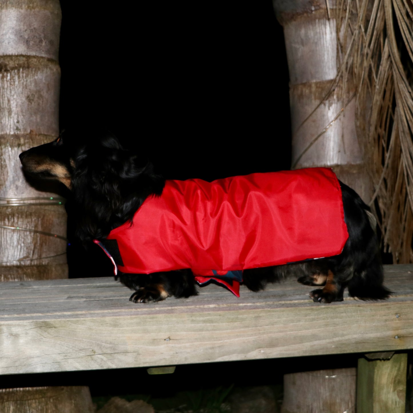 Rainwear Red Flower Dog Rain Coat