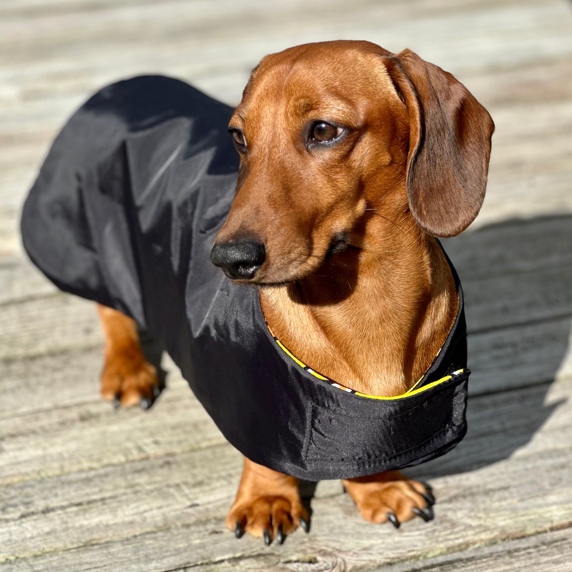 Duck rain coat sales