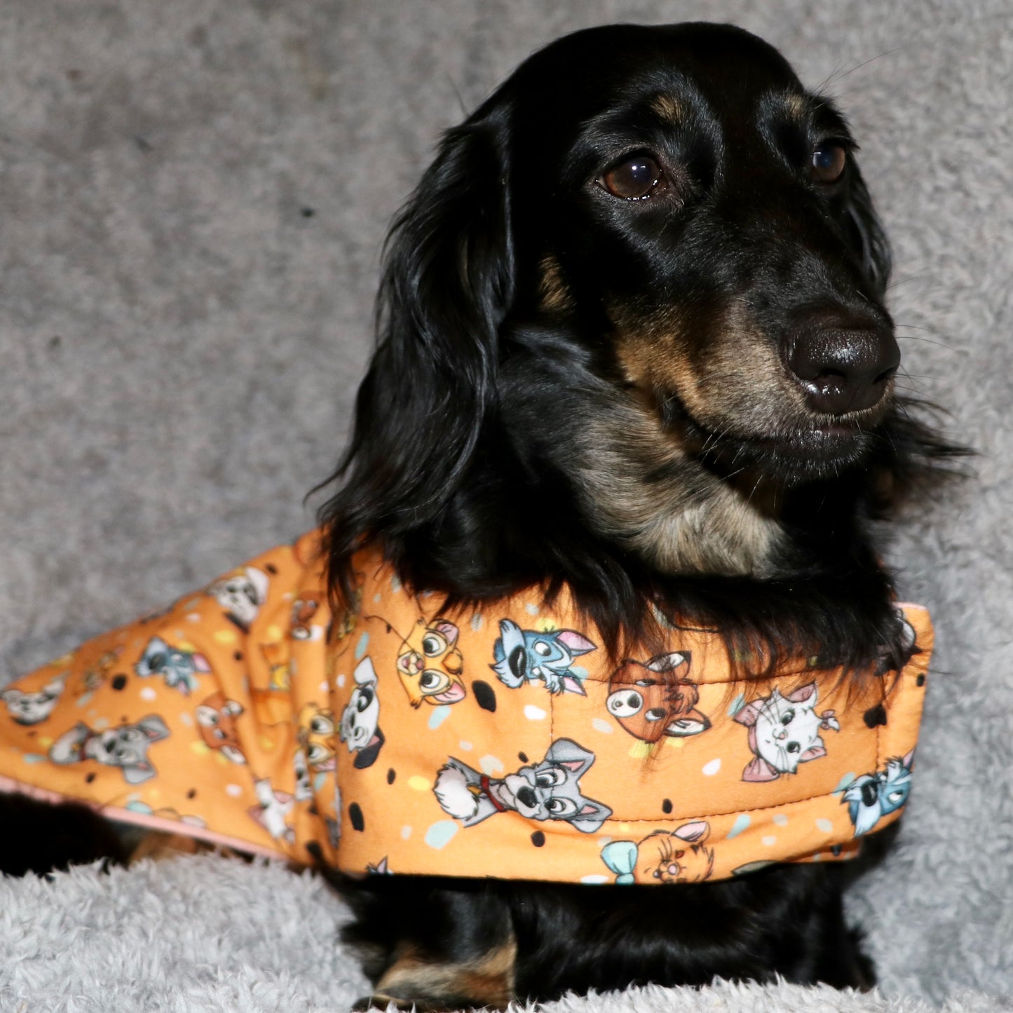 ActiveWear Disney Dogs and Cats Dog Coats
