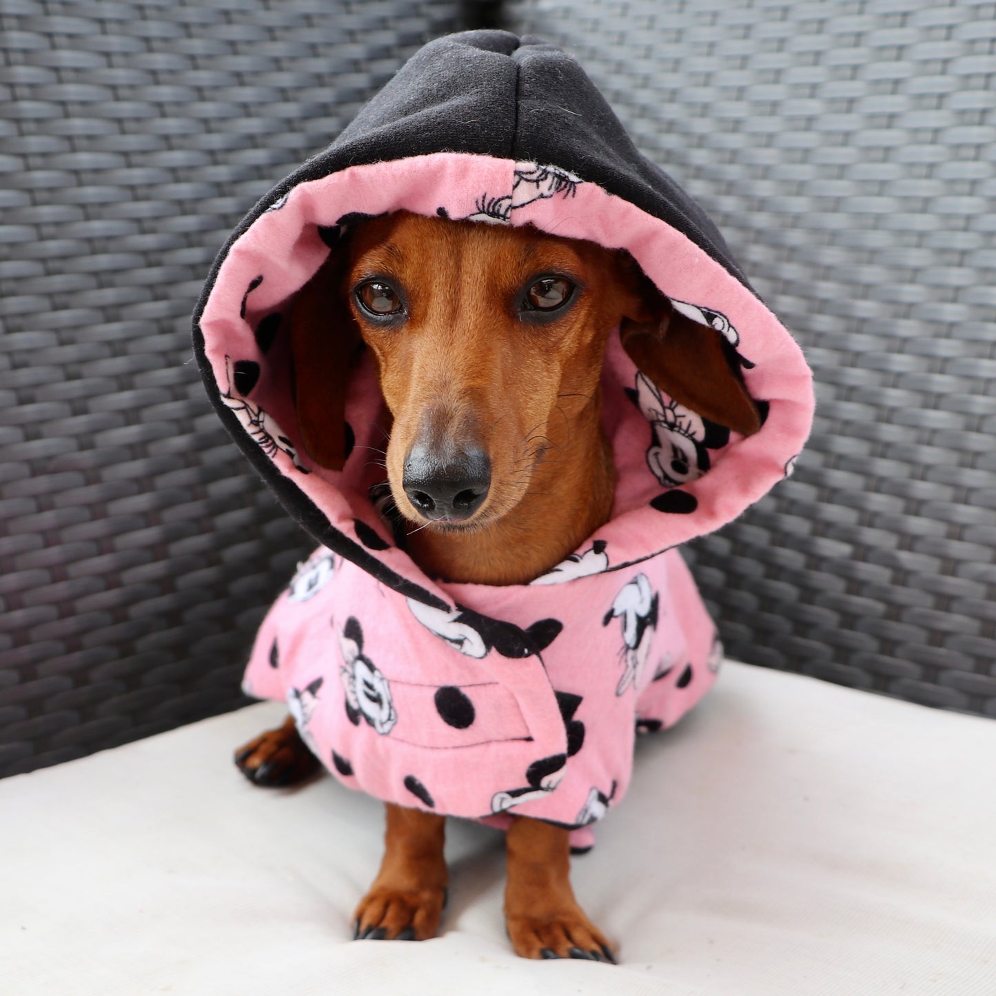 ActiveWear Minnie Mouse Dog Coat