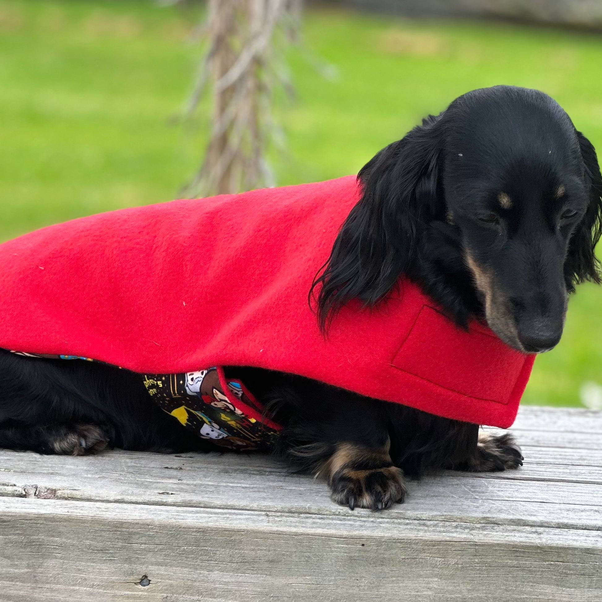 Harry potter dog clearance shirt
