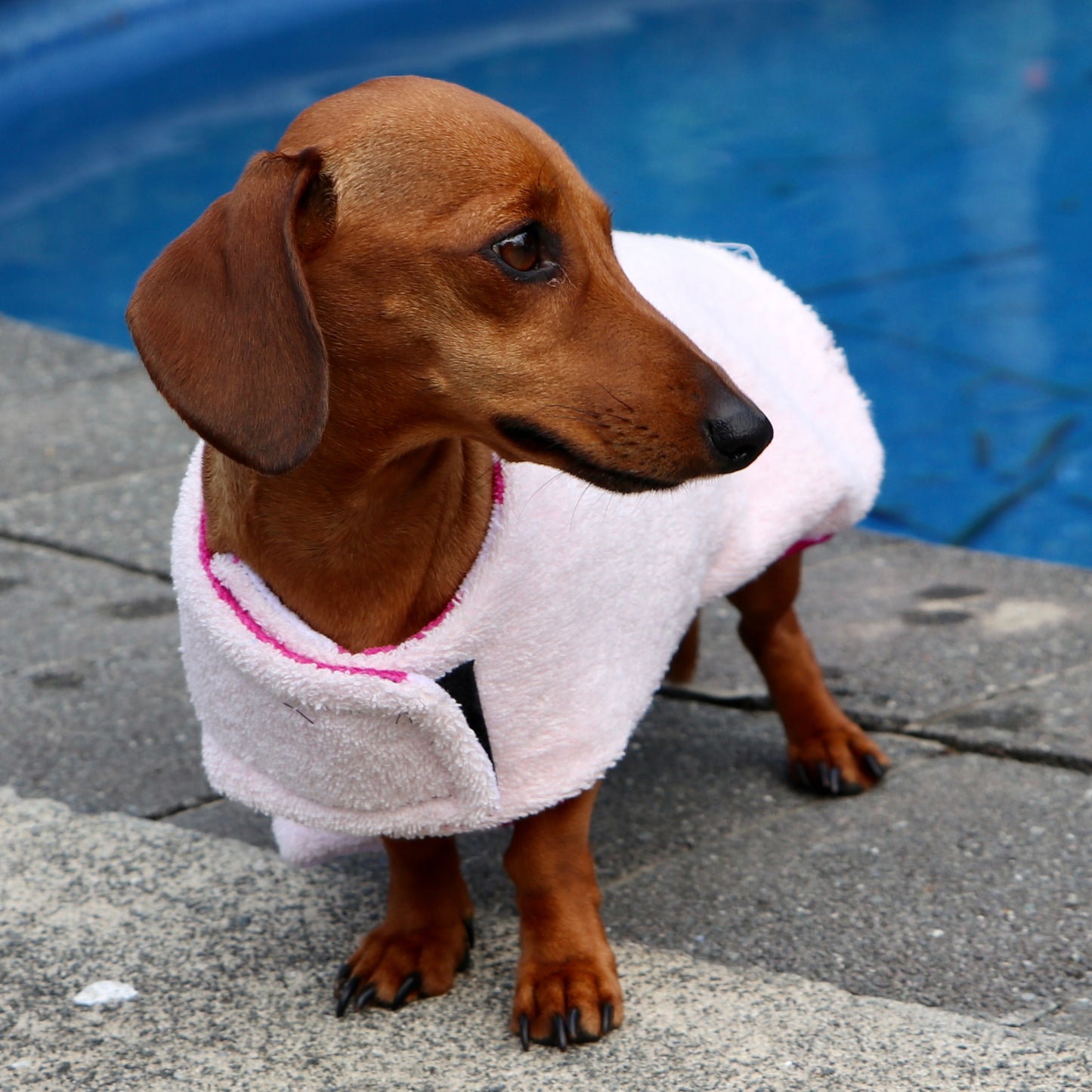 Towelwear Hot Pink Flower Dog Coat