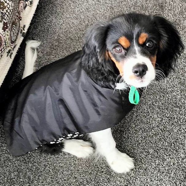 Rainwear Paw Print Dog Rain Coat