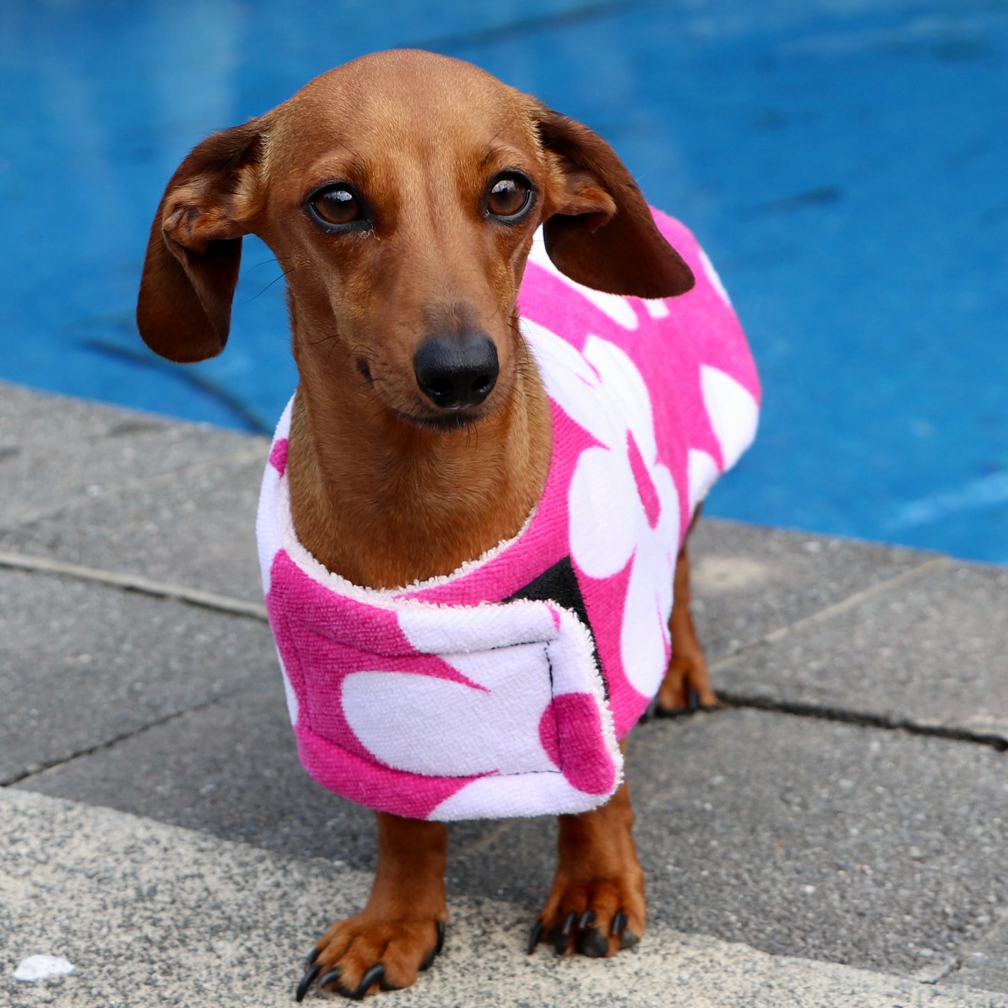 Towelwear Hot Pink Flower Dog Coat