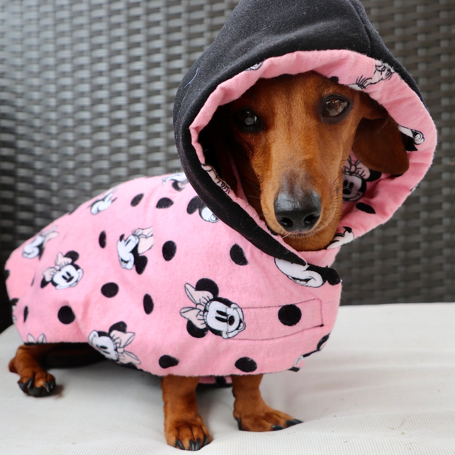 ActiveWear Minnie Dog Coat