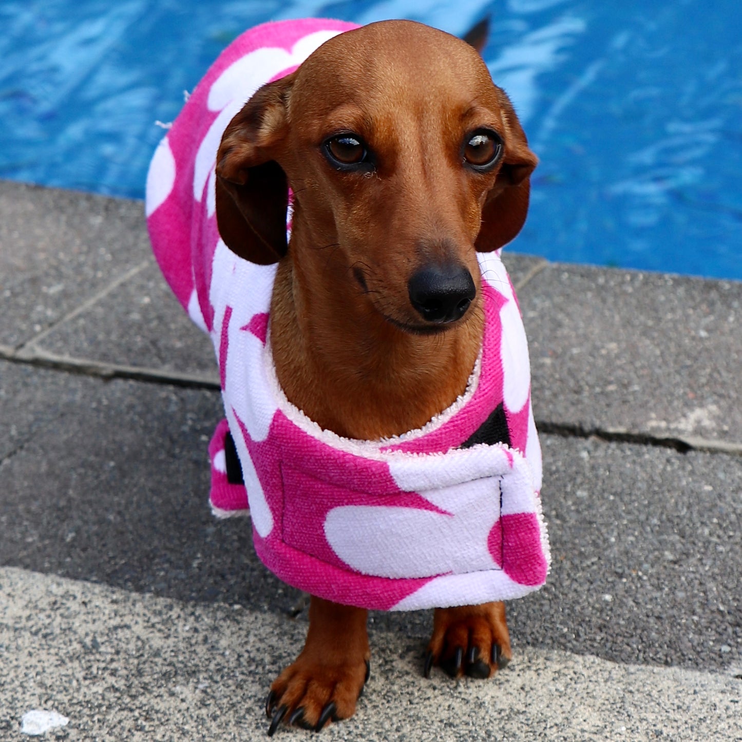 Towelwear Hot Pink Flower Dog Coat