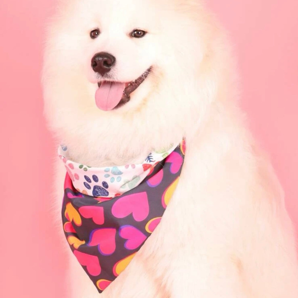 Multi Coloured Heart Dog Bandana