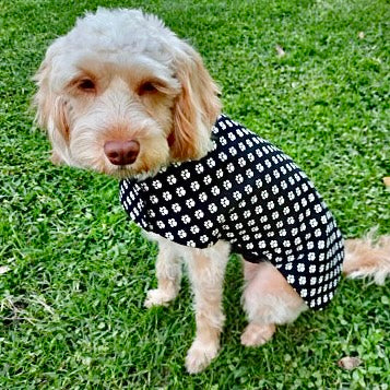 Dog print outlet coat