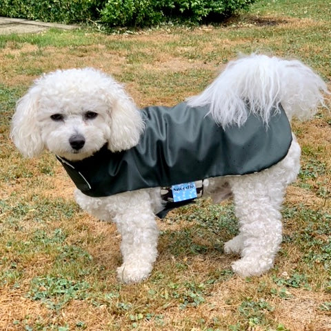 Rainwear Camo Dinosaur Green Dog Rain Coat