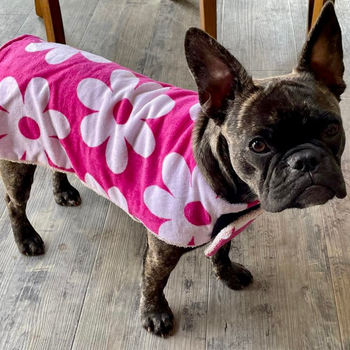 Towelwear Hot Pink Flower Dog Coat