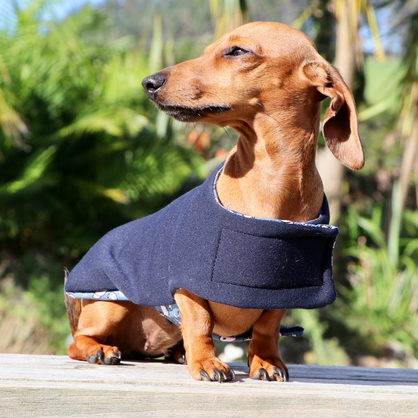 ActiveWear Doby Dog Coat