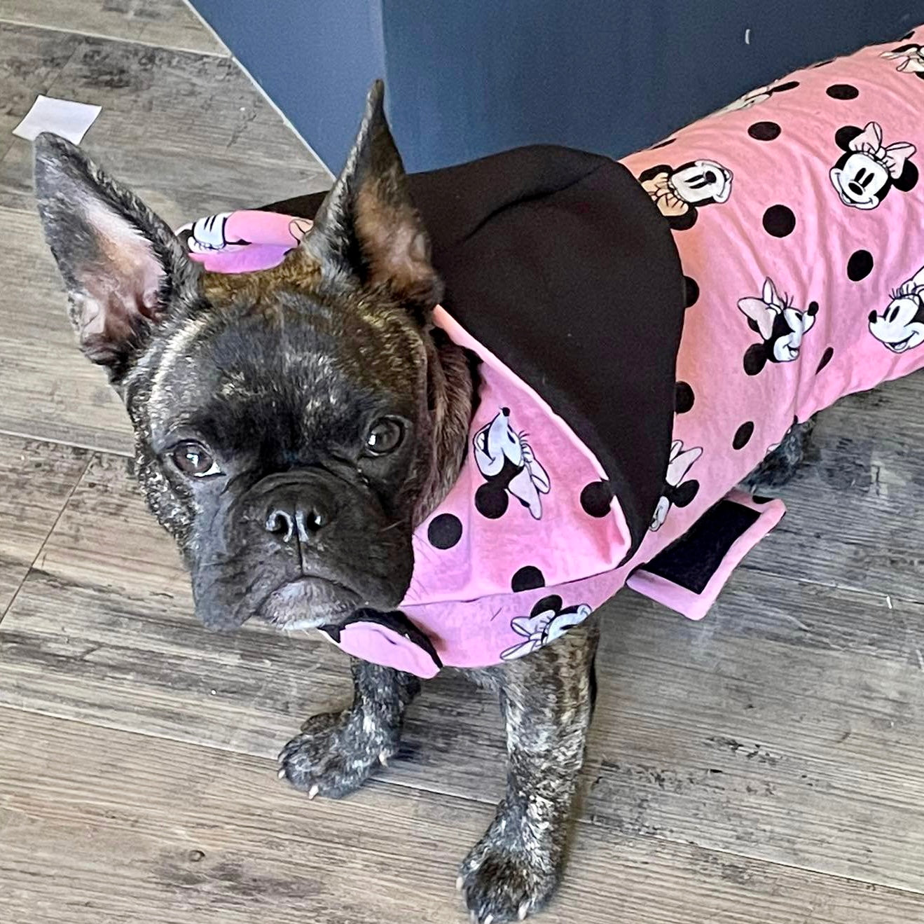 ActiveWear Minnie Mouse Dog Coat