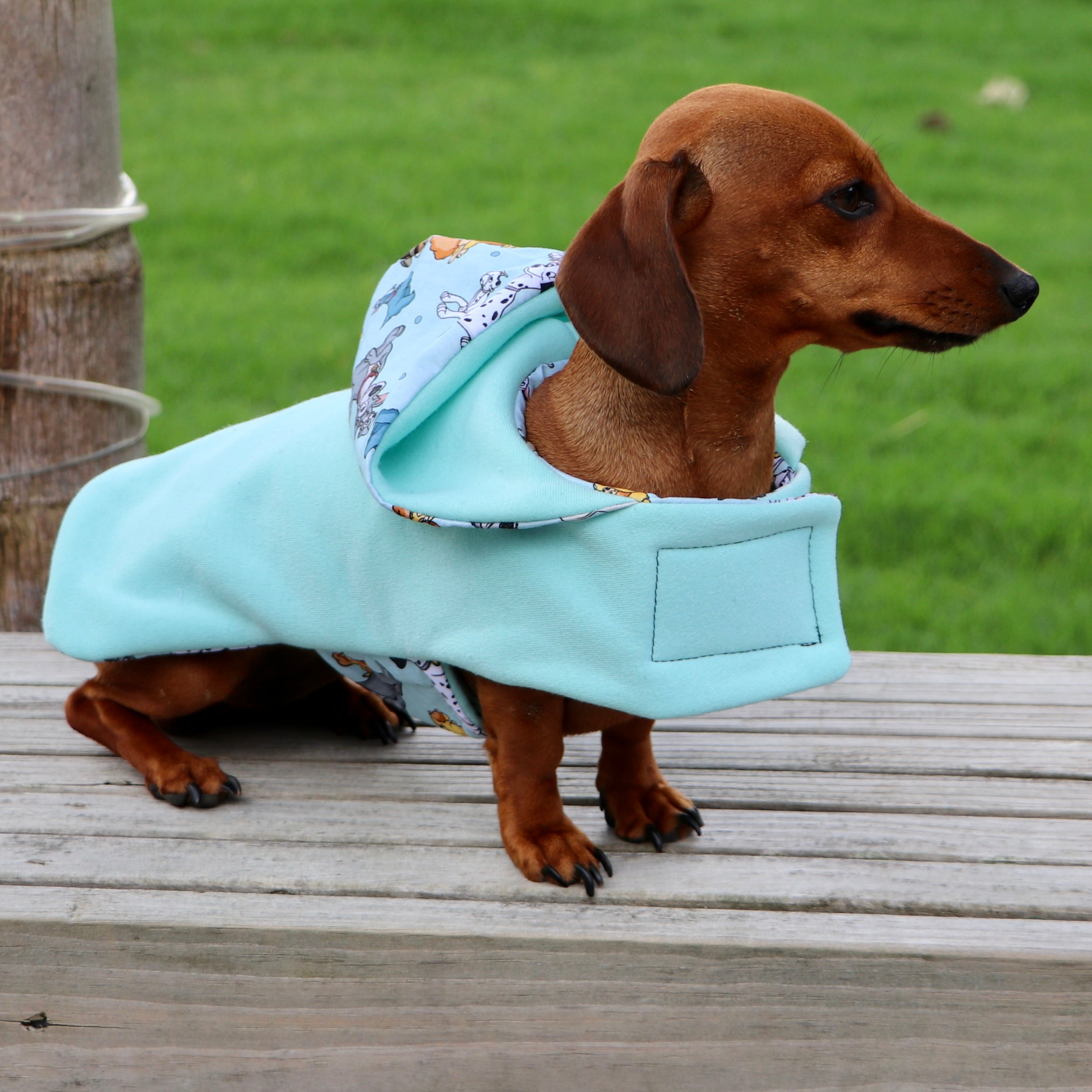 Disney 2025 dog coat