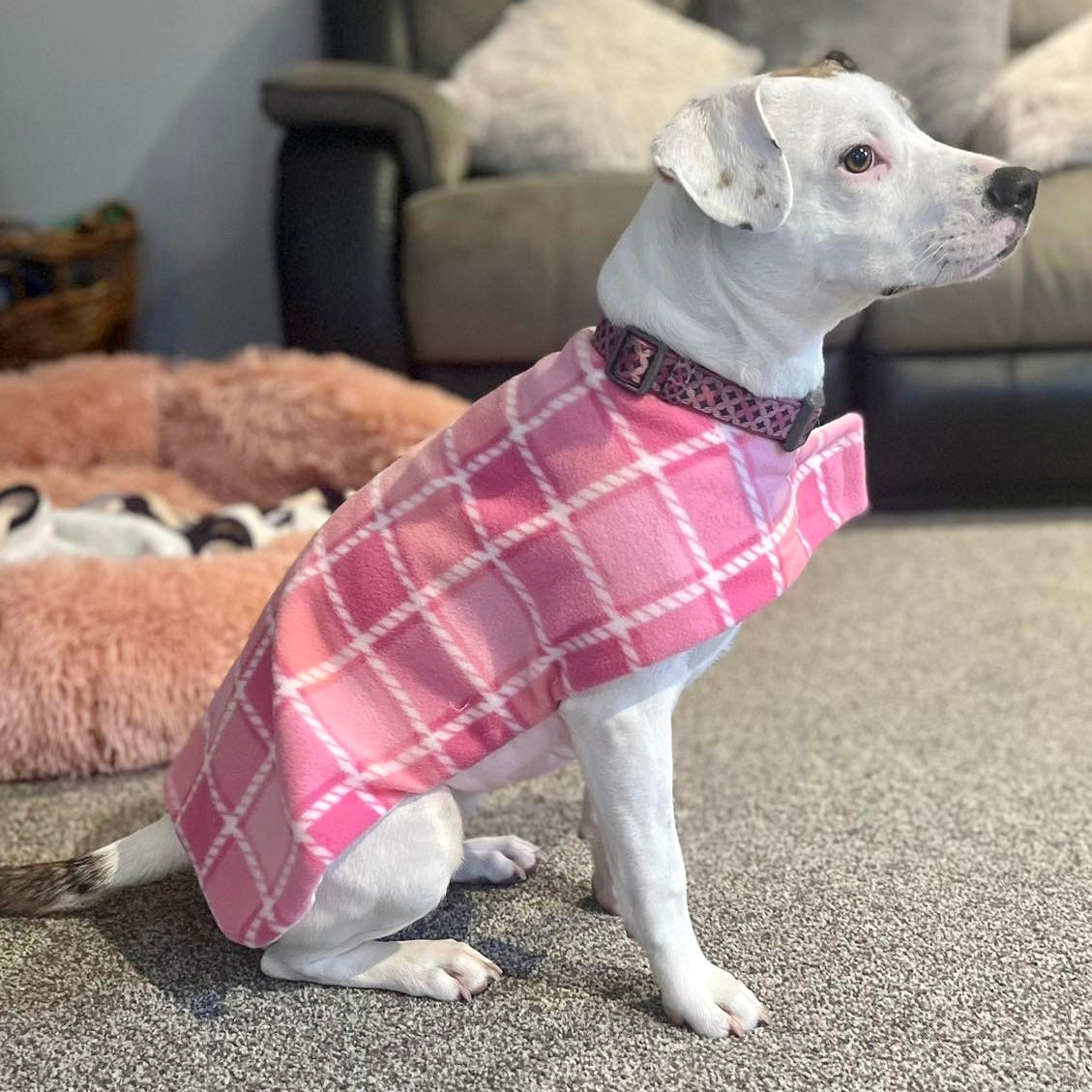 Daywear Pink Tartan Dog Coat – Snoodle - Main Image