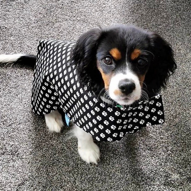 Rainwear Paw Print Dog Rain Coat
