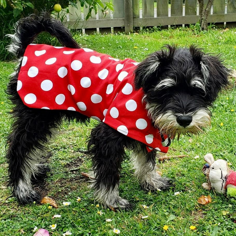 Rainwear Red Polka Dot Dog Rain Coat