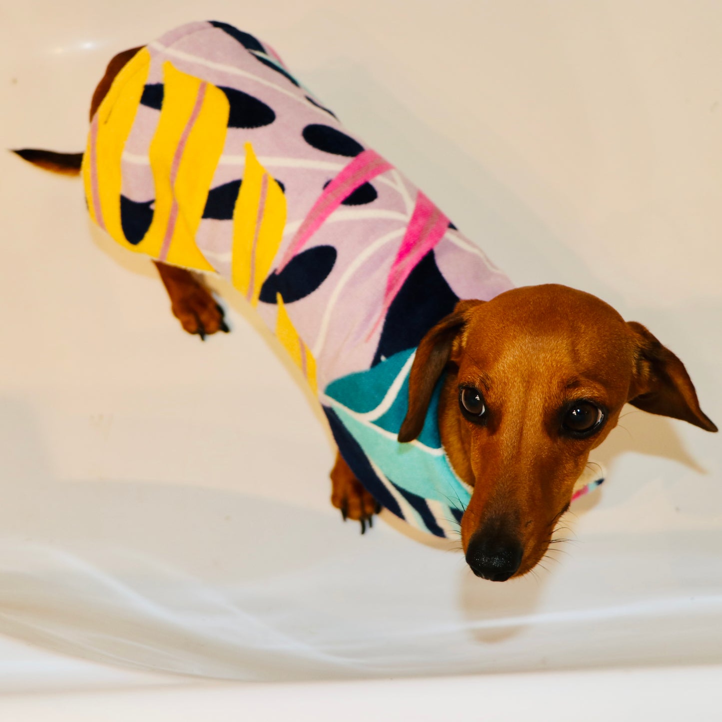 Towelwear Yellow Tropical Dog Coat