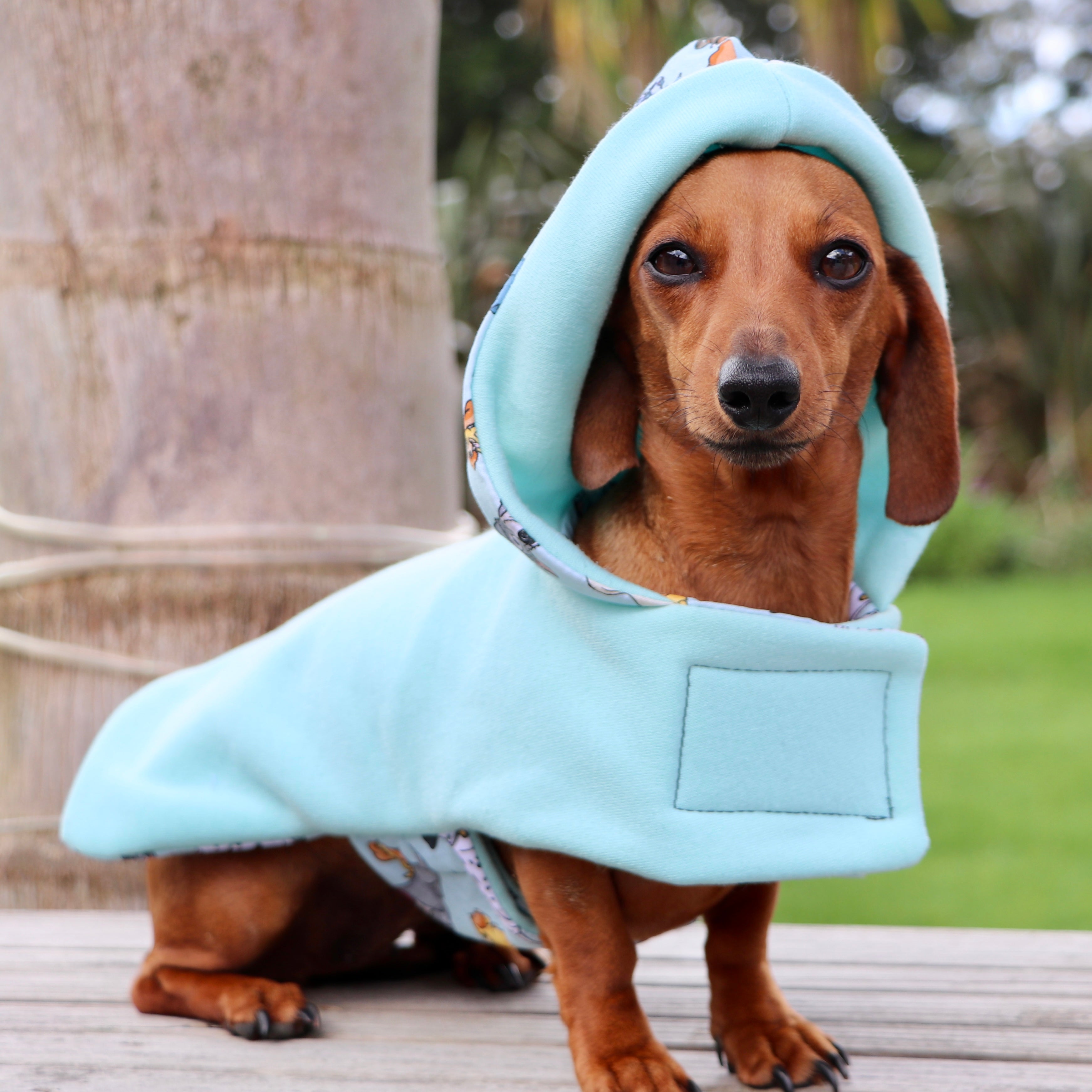 Disney discount dog sweatshirt