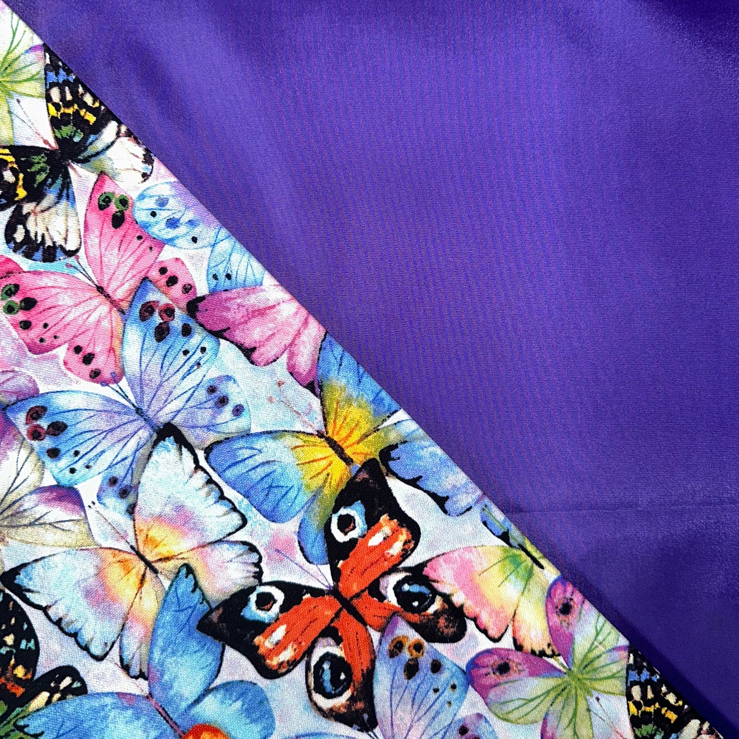Rainwear Purple Butterflies Dog Rain Coat