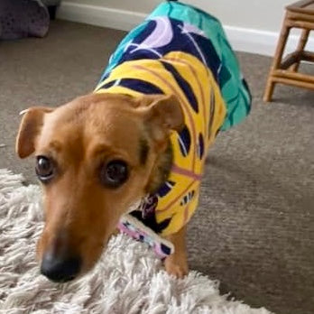 Towelwear Yellow Tropical Dog Coat