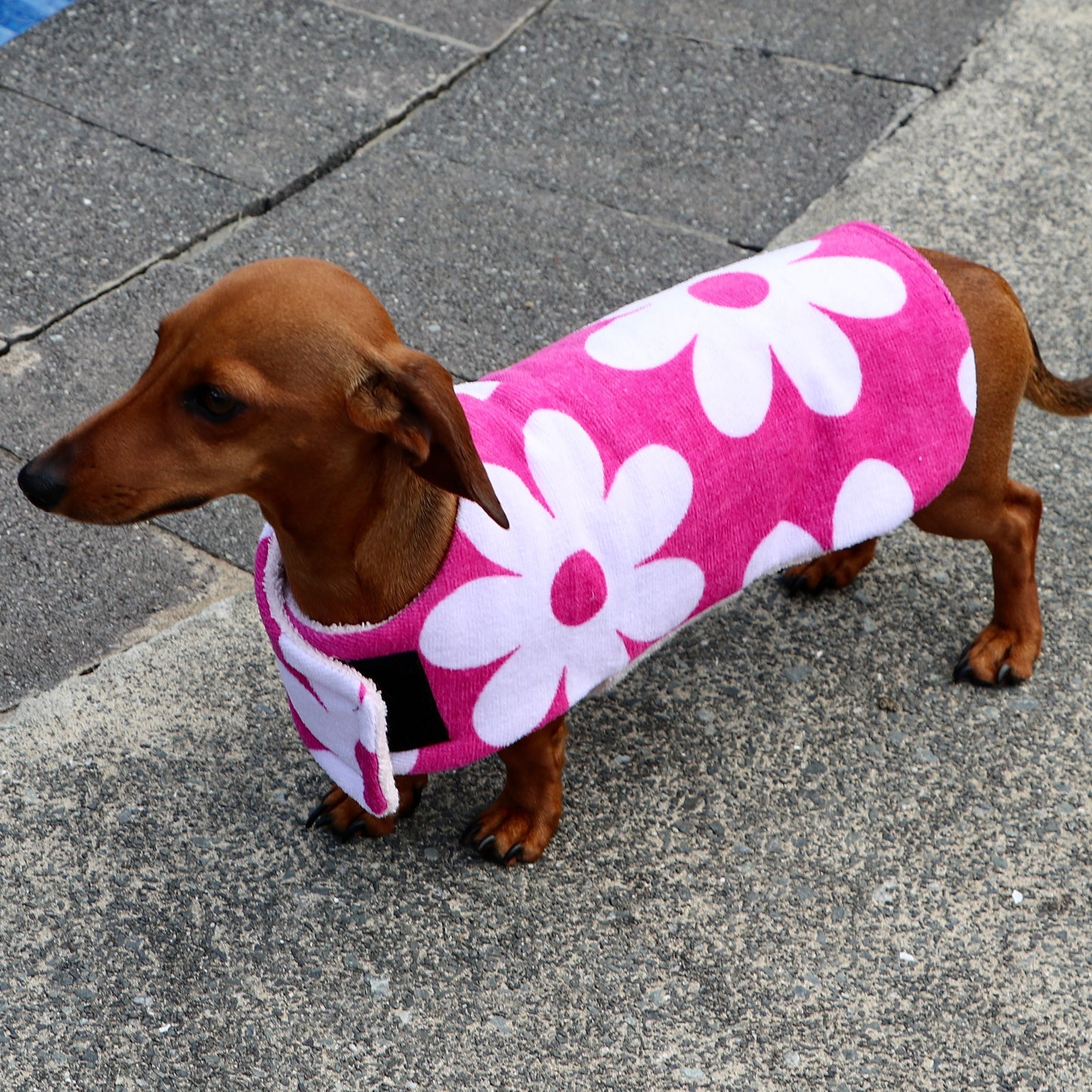 Towelwear Hot Pink Flower Dog Coat