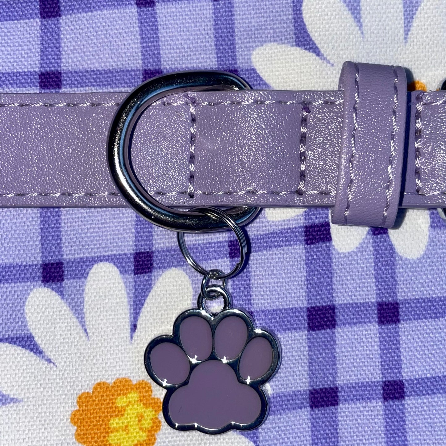 Purple Collar and FREE paw charm