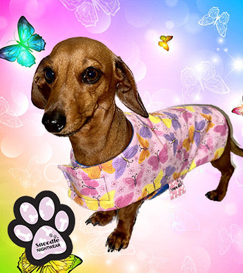 Daywear Butterflies and Flowers Dog Coat