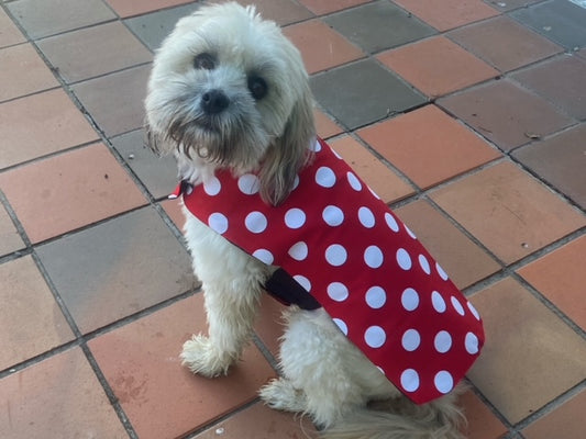 Rainwear Red Polka Dot Dog Rain Coat