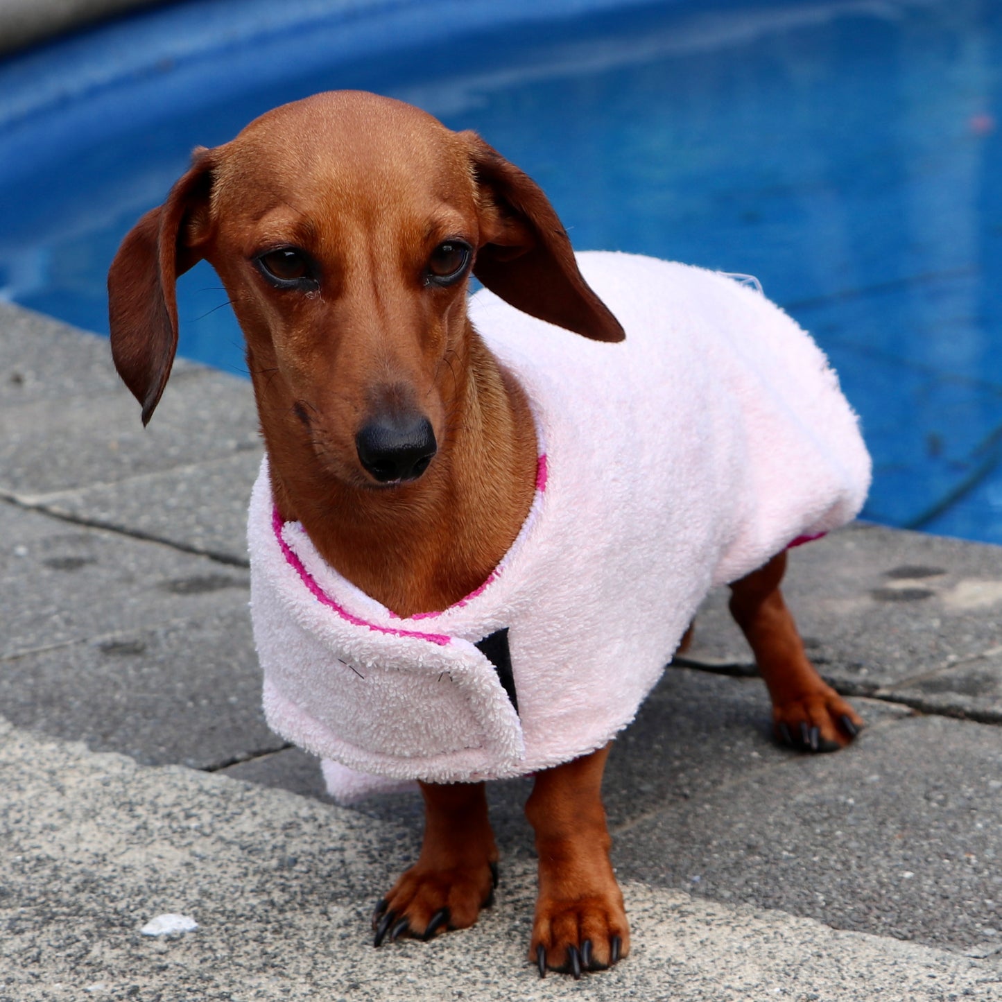 Towelwear Hot Pink Flower Dog Coat