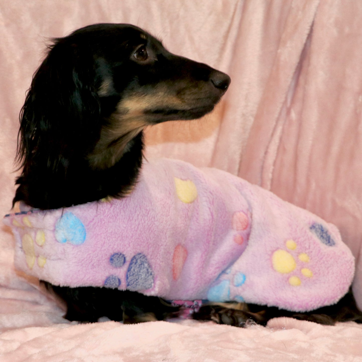 Nightwear Lilac Fluffy Dinosaur Dog Coat
